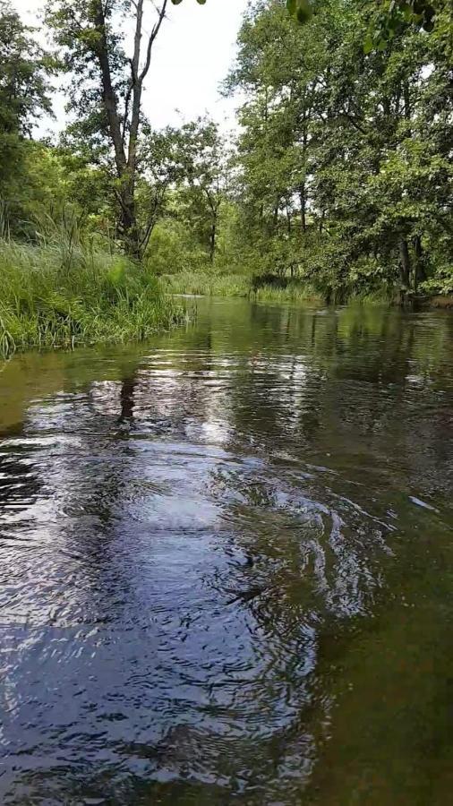 Domki Letniskowe Lesne Spa Borsk Nad Jeziorem Wdzydzkim Basen Sauna Balia Экстерьер фото